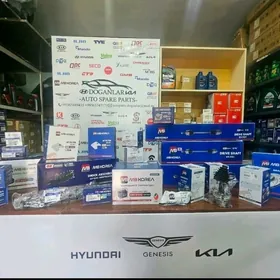 Hyundai Kia awtosaylary