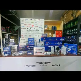 HYUNDAI KIA AWTOSAYLARY