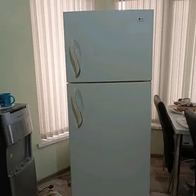 холодильник элжы