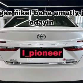 canry bogaz nikel 2025