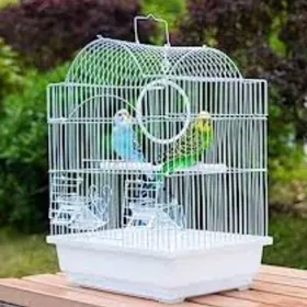 popugay komplekt popugay