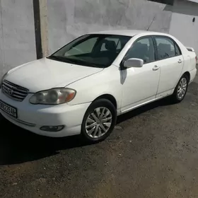 Toyota Corolla 2003
