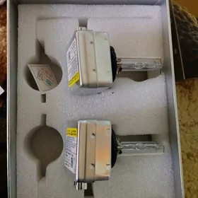 sinon ksnion cyra tobys