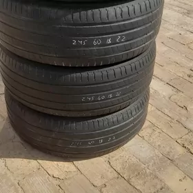 pakrişga 245 60 18 Mişlen