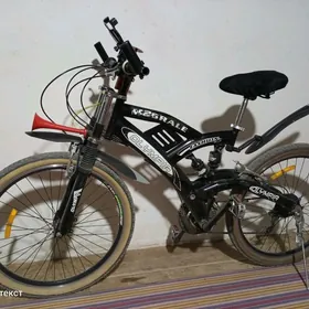 Welosiped obmenem bolya