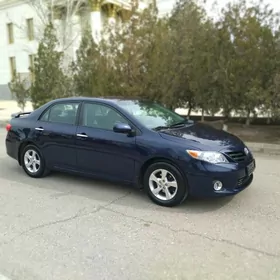 exclusive diska teker 15