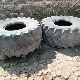 SATLYK ULY TIGIRLER 2SANY