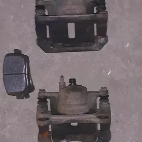 okuz kelle suport kalotka