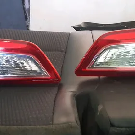 palta bagaz cyrasy 2012 2014