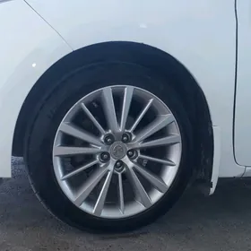 corolla halici diska 17lik