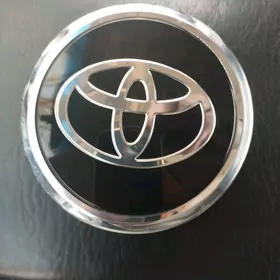 kalpak Land cruiser 300