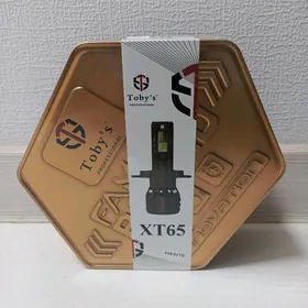 Led cyra Toby's XT65