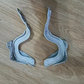 Hyundai PETLE ELANTRA