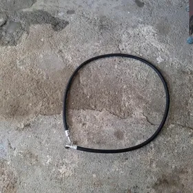 MASYN KANSANER ŞLANGA