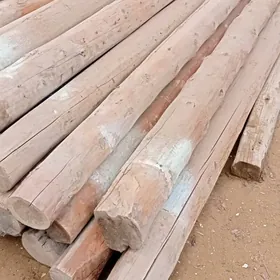 agac naw gowy bahadan alyarys