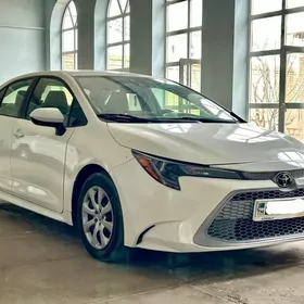 Toyota Corolla 2022