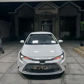 Toyota Corolla 2021