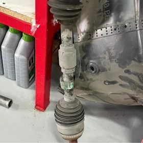 Camry palta granat sag dashky