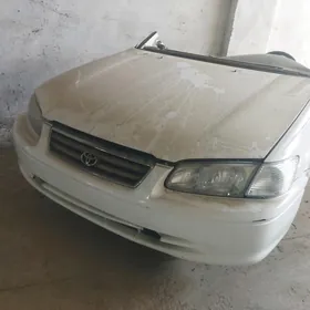 Kemri babycka mordasy