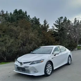 Toyota Camry 2020