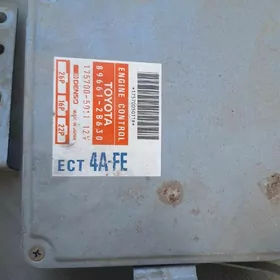 Mark windom kampyuter