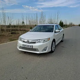 Toyota Camry 2013