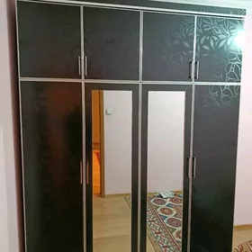 şyfaner yogran dusek salynyan