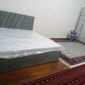 hozaykaly newtgaz mir elitga