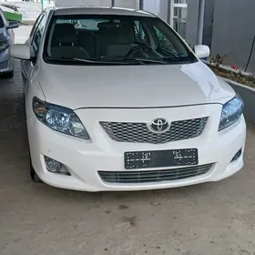 Toyota Corolla 2009