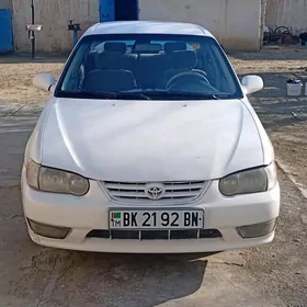 Toyota Corolla 1999