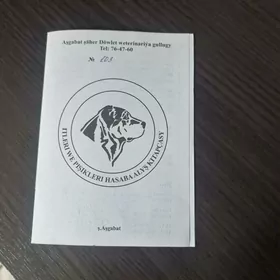 котенок 3.месяца