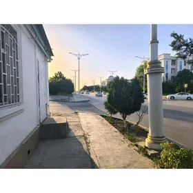 Arenda ýer, suşi ýa da başga