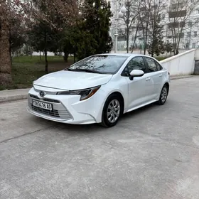 Toyota Corolla 2024