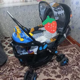 чага каляска