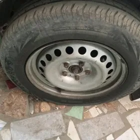 Gara gaňyrşak disga