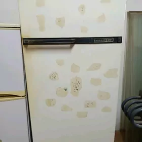 haladelnik we marazilka