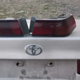 lisiçga bufer bogaž fara morda