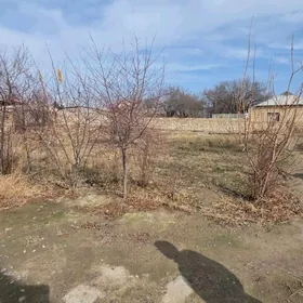 Dmitr 8sotok yurt yerli