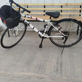 27 Öñi toply tigir