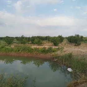 bagchylyk yer 3 gektar