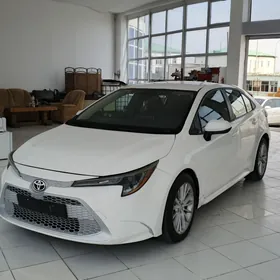 Toyota Corolla 2022