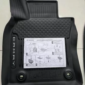 Arginal Camry (Kemry) kowrik