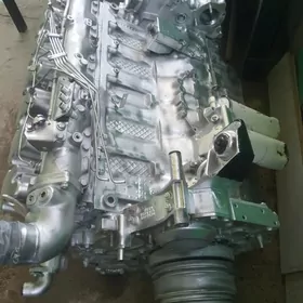 uly masyn renout motor