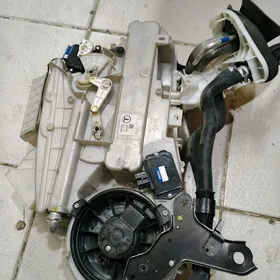 toyota pradan yzky domigi