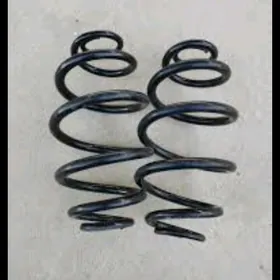 пружин морда