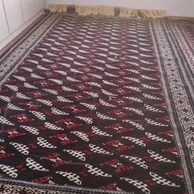 Gara haly ,Teke gölli, Palas