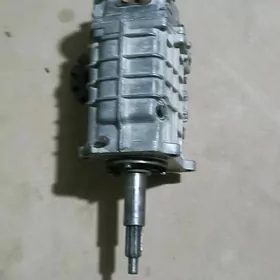 Karopga 5 skor Gazelinki