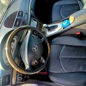 iş gözleyän .,kara ,fortik