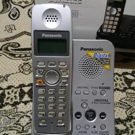 Domașny telefon