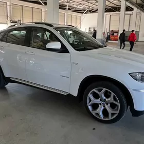 BMW X6 2010